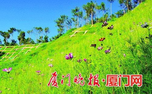 狐尾山改造完工 厦门气象主题公园四季皆有花