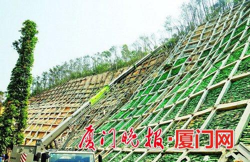 狐尾山改造完工 厦门气象主题公园四季皆有花