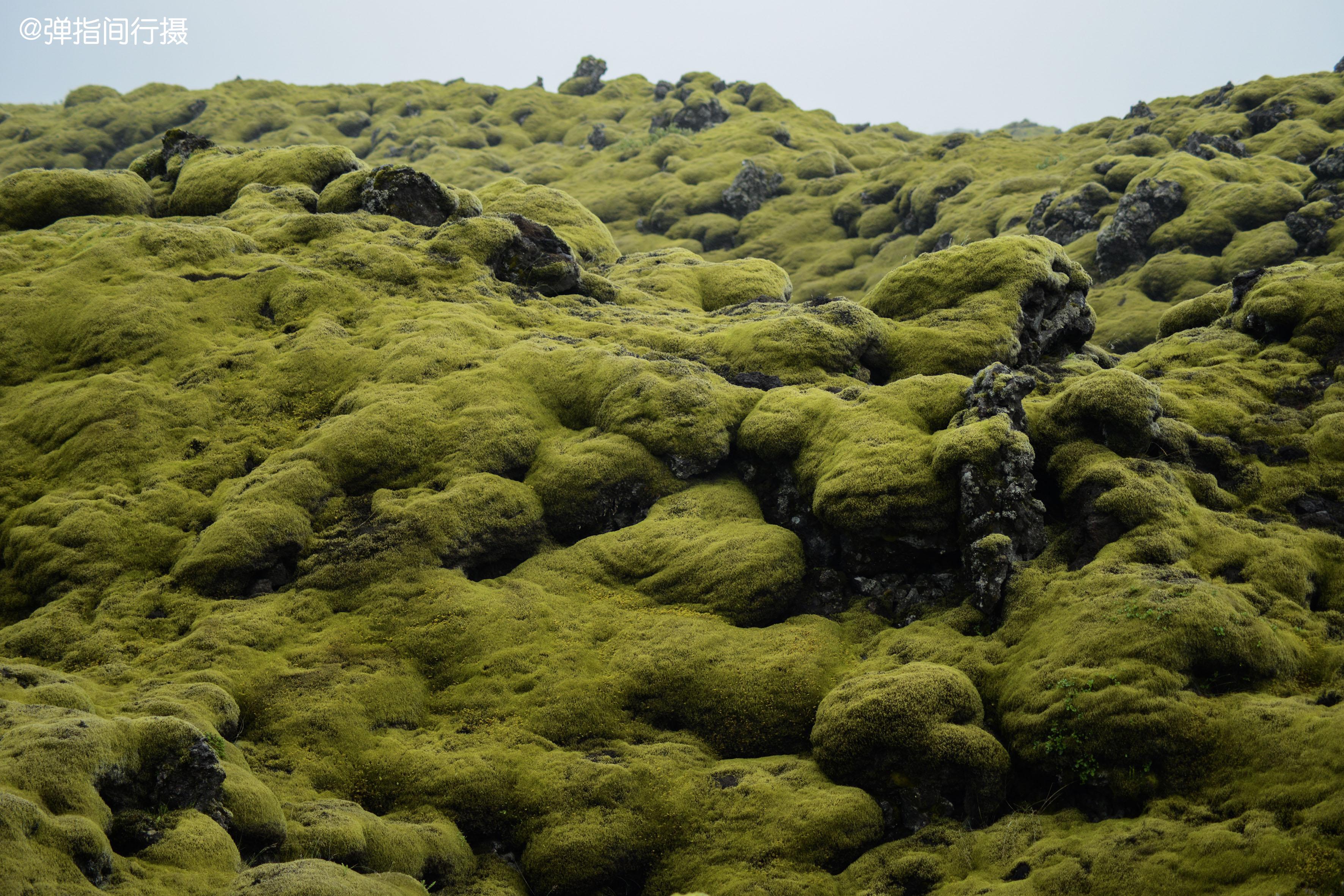 冰岛的苔原 - 高清图片，堆糖，美图壁纸兴趣社区