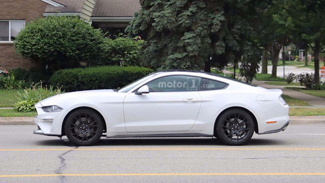 ȫ¸Mustangع δ