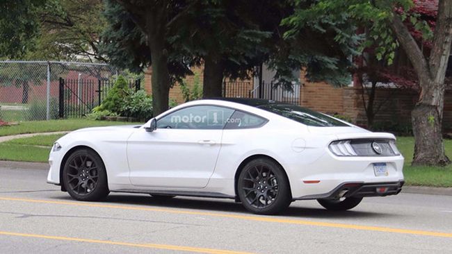 ȫ¸Mustangع δ