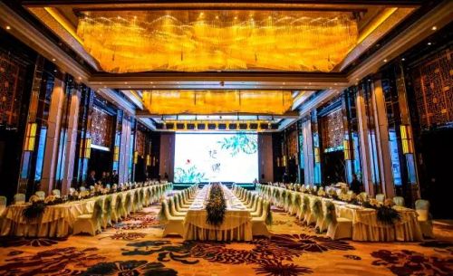 名厨邂逅小罐茶 创意美食令人沉醉