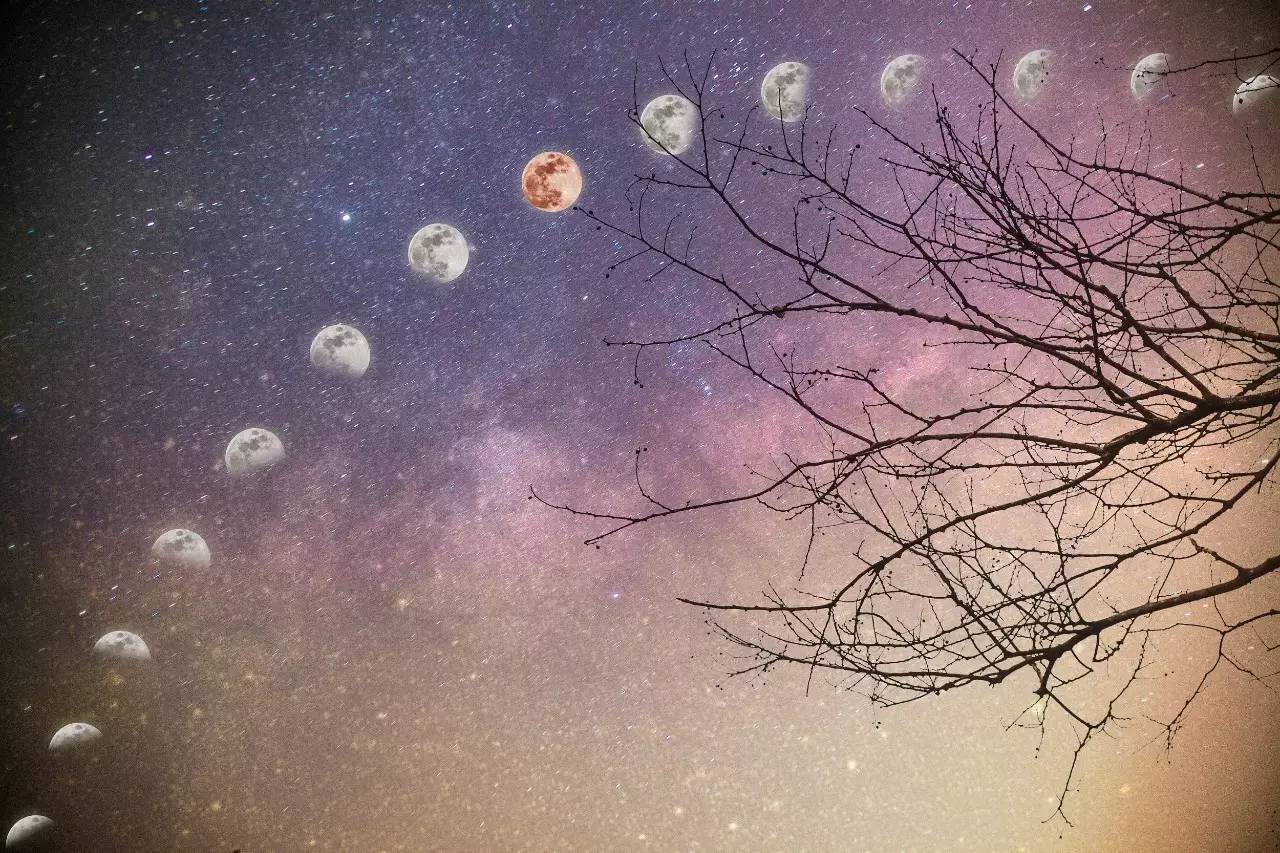 今晚,最宜脚踏实地仰望星空