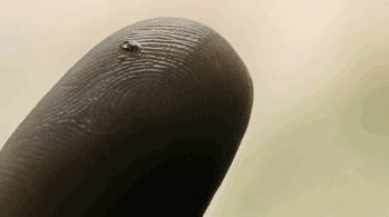 349_195 gif 动态图 动图