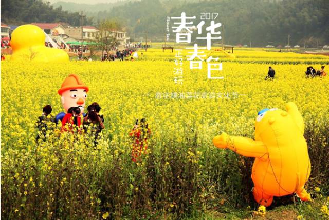 湖南经视,新华社等各路媒体报道花海洞田油菜花长沙县春华镇旅游文化
