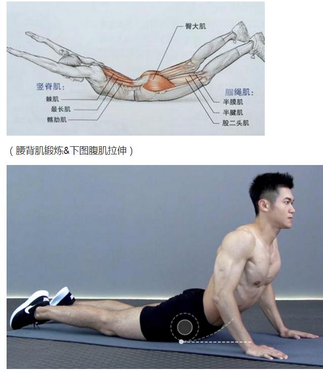 答病友问:如何定制康复计划,让腰椎尽快好起来?