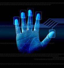 宝宝手指上有几个“斗”?“指纹与智商”的科学解释