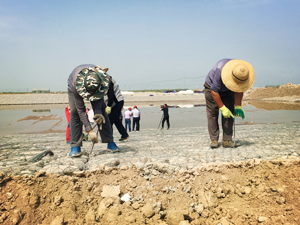 全国卫视看宁夏走进石嘴山 关注城市水生态保