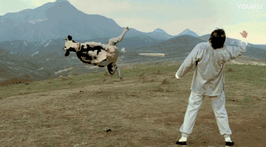 最后把奶牛都榨干了,笑死人了搞笑,电影,功夫,奶牛,昆宝出拳