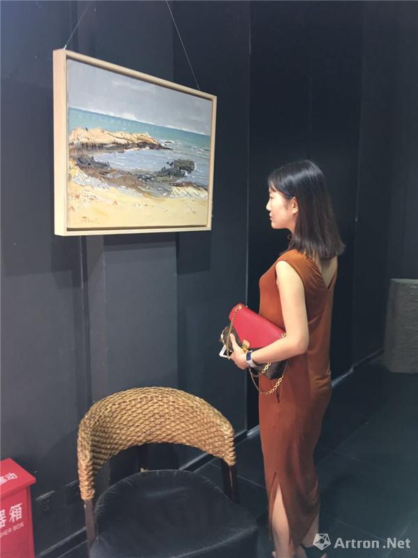肖育风景油画展在西安开幕 《肖育写生中国》
