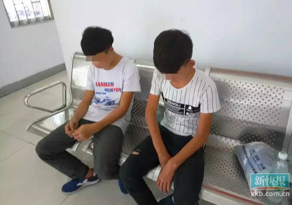 被解救少年揭秘碰瓷团伙内部运作:先被砸断手