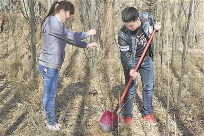 志愿者管理的共和经验
