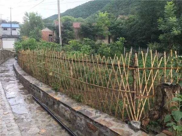 下洪村人口_绯村剑心真人(2)