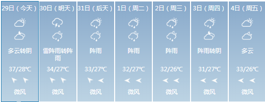 双台风来袭！杭州将迎狂风+暴雨，下周温度竟低至…