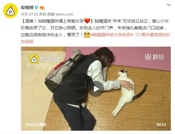 不需要卡了！以后可以扫二维码坐广州公交了~丨