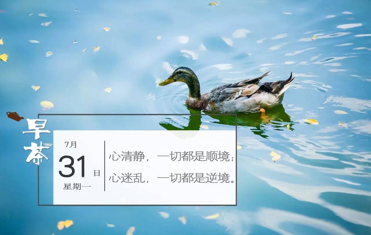 不需要卡了！以后可以扫二维码坐广州公交了~丨