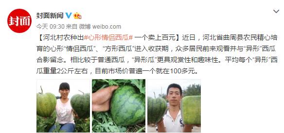 不需要卡了！以后可以扫二维码坐广州公交了~丨