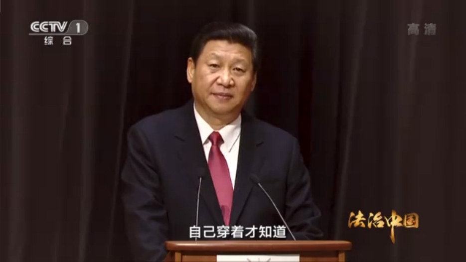 央视视频：建设社会主义法治国家必须坚持从中国实际出发