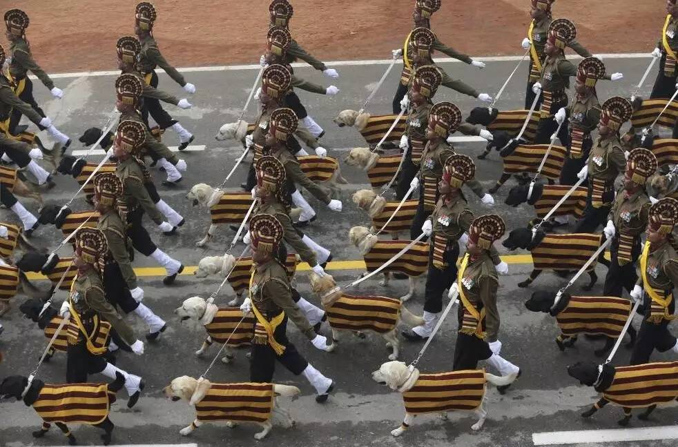 视界 | 朱日和沙场阅兵在外国网友中圈粉无数:"中国果然很厉害"_凤凰资讯