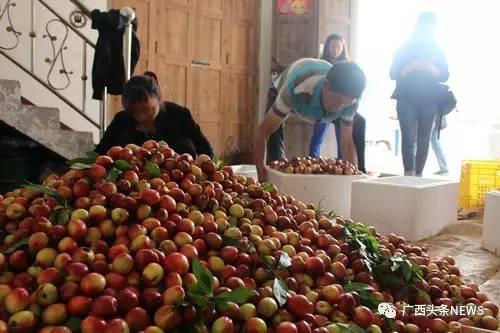 第七批全国一村一品 示范村镇公布,广西9个村