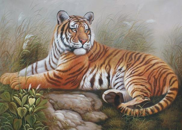 1962年属虎人的一生寿命,你家有吗?准!