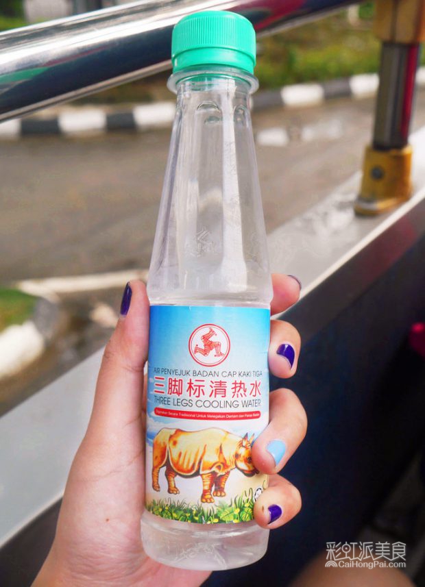 能止疼还能治感冒？马来西亚100plus&犀牛水-彩虹派美食