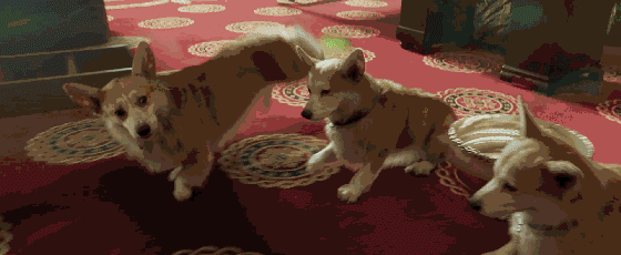 所有看似荒诞的东西,从孩子的角度都可以得到解答.