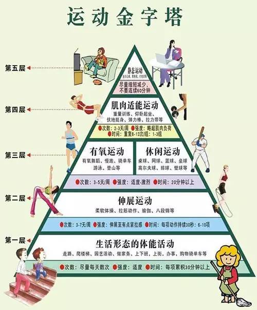 最近有关科学家推出了一种科学的健身方式——"运动金字塔"