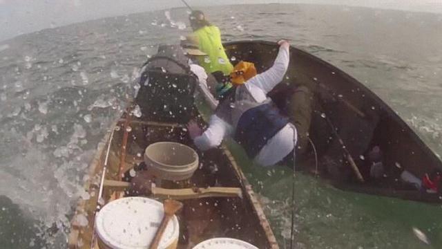 渔夫无意间钩到一条牛鲨，暴躁的牛鲨差点撞翻小船