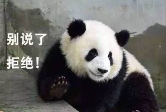 BBC，别想黑我们的熊猫！