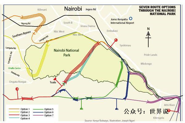 肯尼亚建铁路穿动物保护区，一年18只大象死于车祸