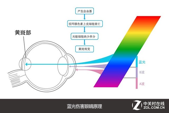 艾眼的原理_了解近视眼的形成原因以及眼睛的工作原理