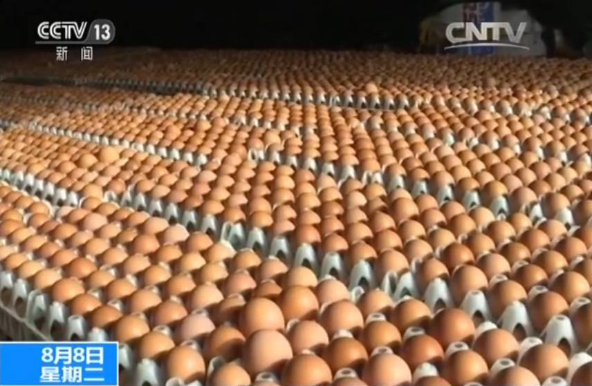 “毒鸡蛋”大闹欧洲：已波及七国，中国消费者无须担心