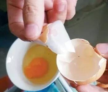 实用！用完的鸡蛋壳千万别扔，不然让你超后悔！
