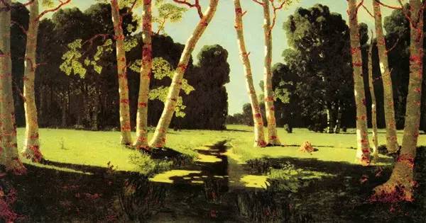 ���綥������100�����������۽磡