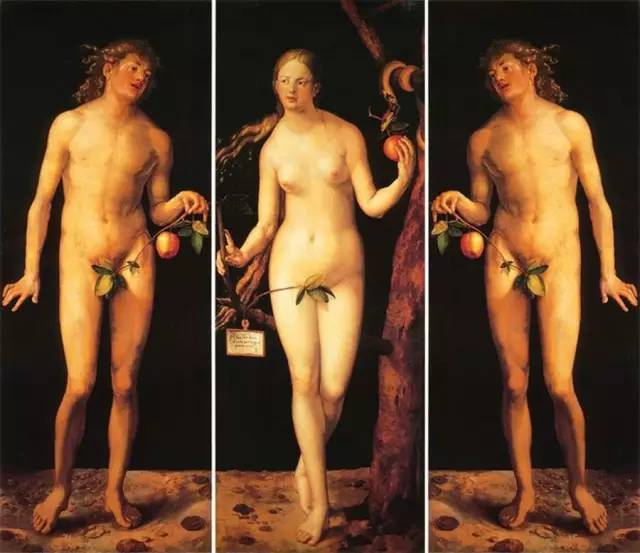 ���綥������100�����������۽磡