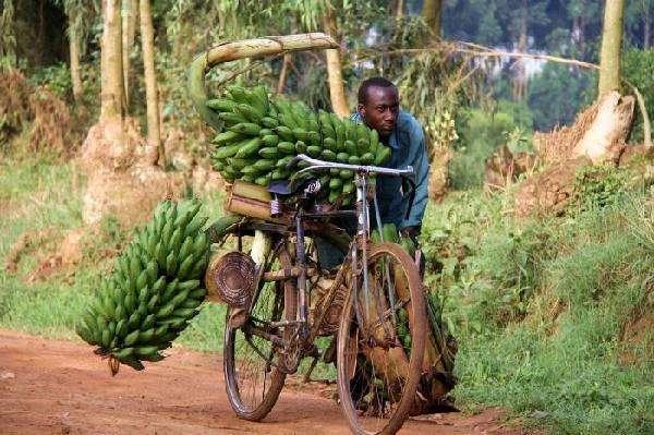 非洲国家为何那么落后?懒只是其中一个原因