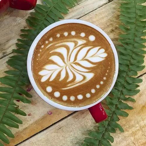 咖啡拉花视频解析(四)| 反推解析