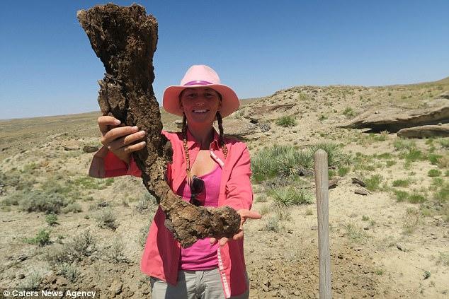 女子被“石头”绊了一跤，结果发现是6千多万年前的恐龙骨