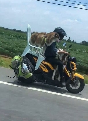 甲乙两地相距360千米_甲乙两人均骑摩托车