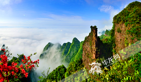 悬在云端上的避暑花园 秀山川河盖升起朵朵七