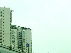 北京“最牛违建”楼顶又见绿 屋主称只是在做绿化