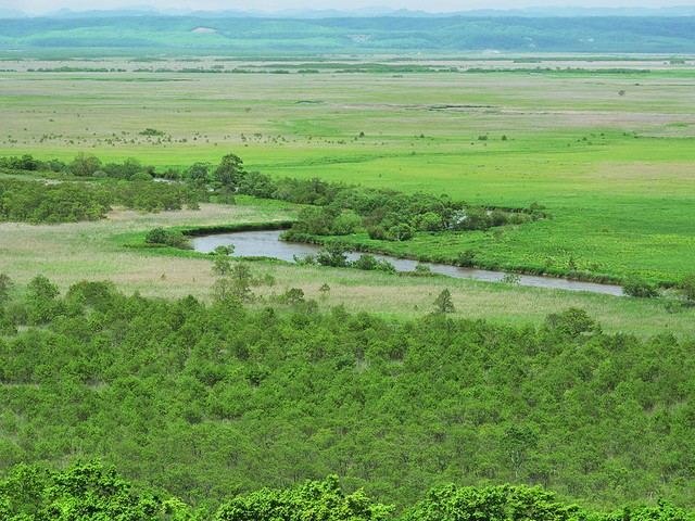 模型手办磨皮神器 Polysher抛光机体验 
