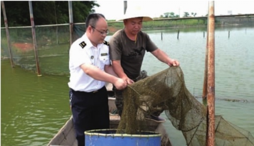 砥砺奋进的五年・湖南篇 【开放崛起从头越】提
