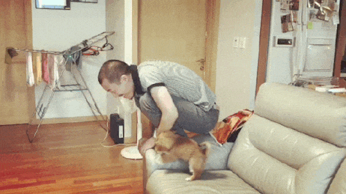 交警查获史上最假车牌:辽b·bbbbb 罚五千,行拘15日