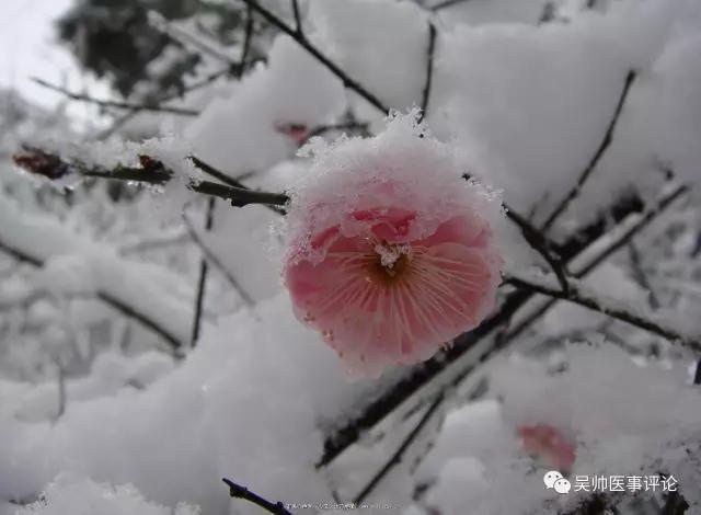 你是医生,你怕死?那就对了!