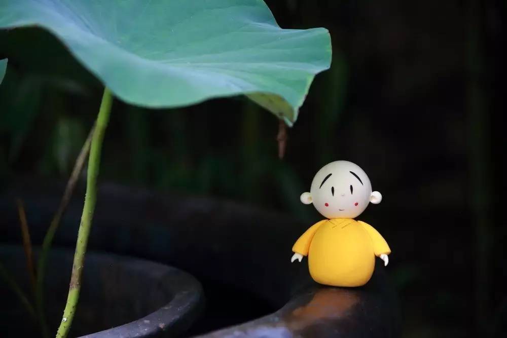 贤二看世界 | 贤二在龙泉寺