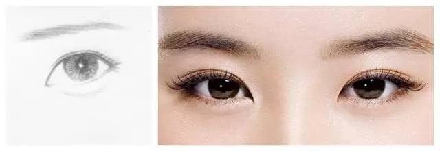 杏眼形状像杏仁,整体偏圆.黑眼珠及眼白露出较多.