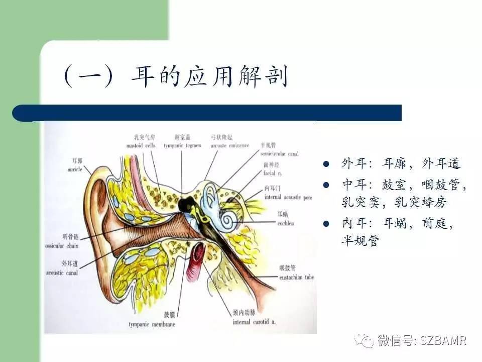 外中耳解剖及变异畸形ct表现