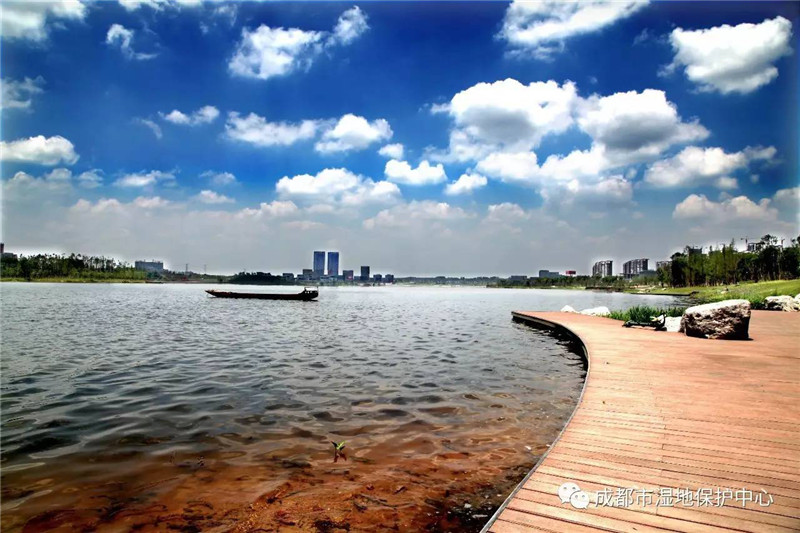 【晒出绿色生活】天府新区兴隆湖打造7公里环